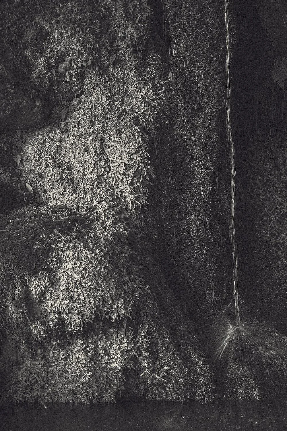 Eva Chupikova, fine art photography, fine art prints, limited edition, Japanese gardens, Japanese aesthethics, Kyoto, Japanese photography, award winning photographer, international photo award competition