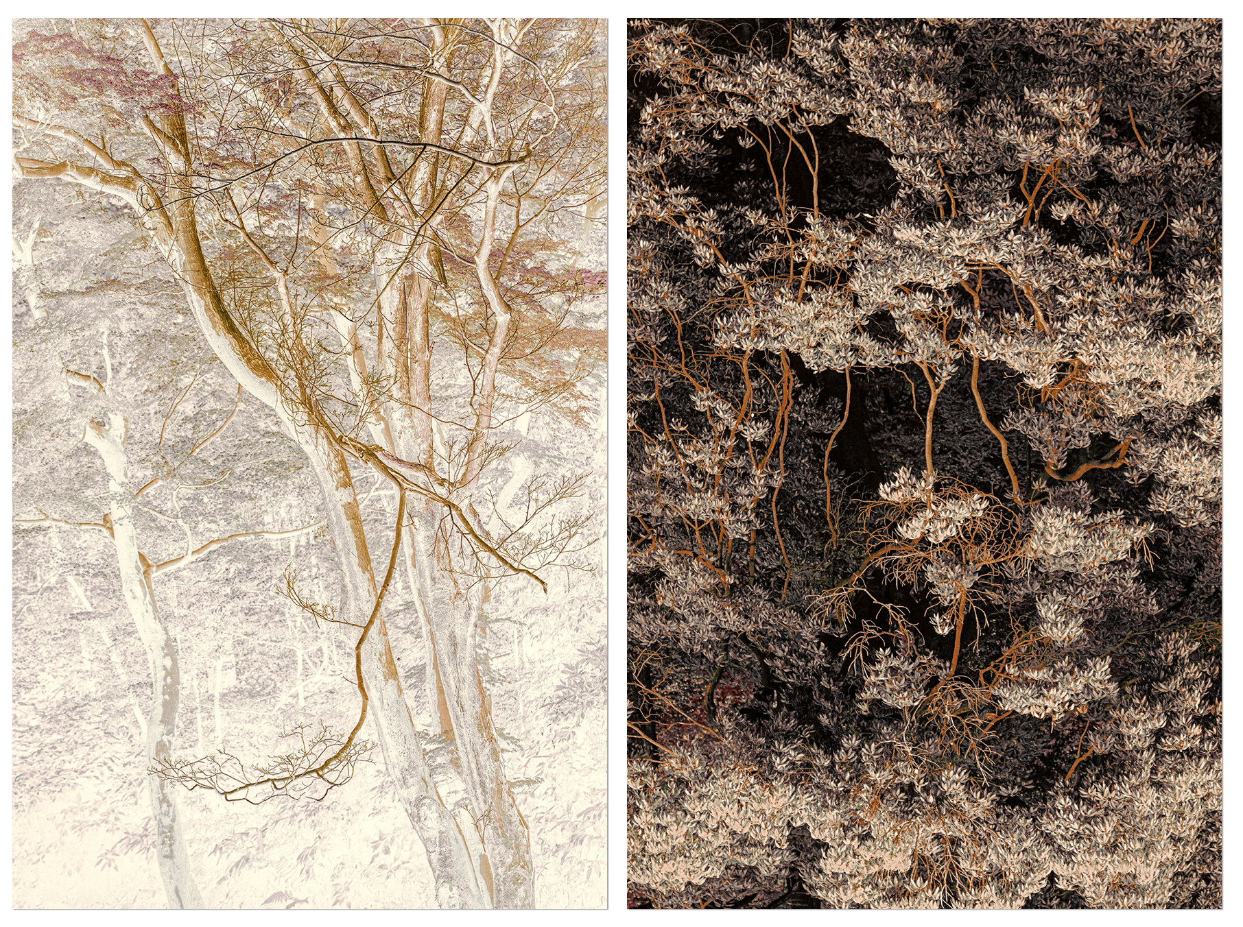 Eva Chupikova, fine art photography, fine art prints, limited edition, Japanese gardens, Japanese aesthethics, Kyoto, Japanese photography, award winning photographer, international photo award competition