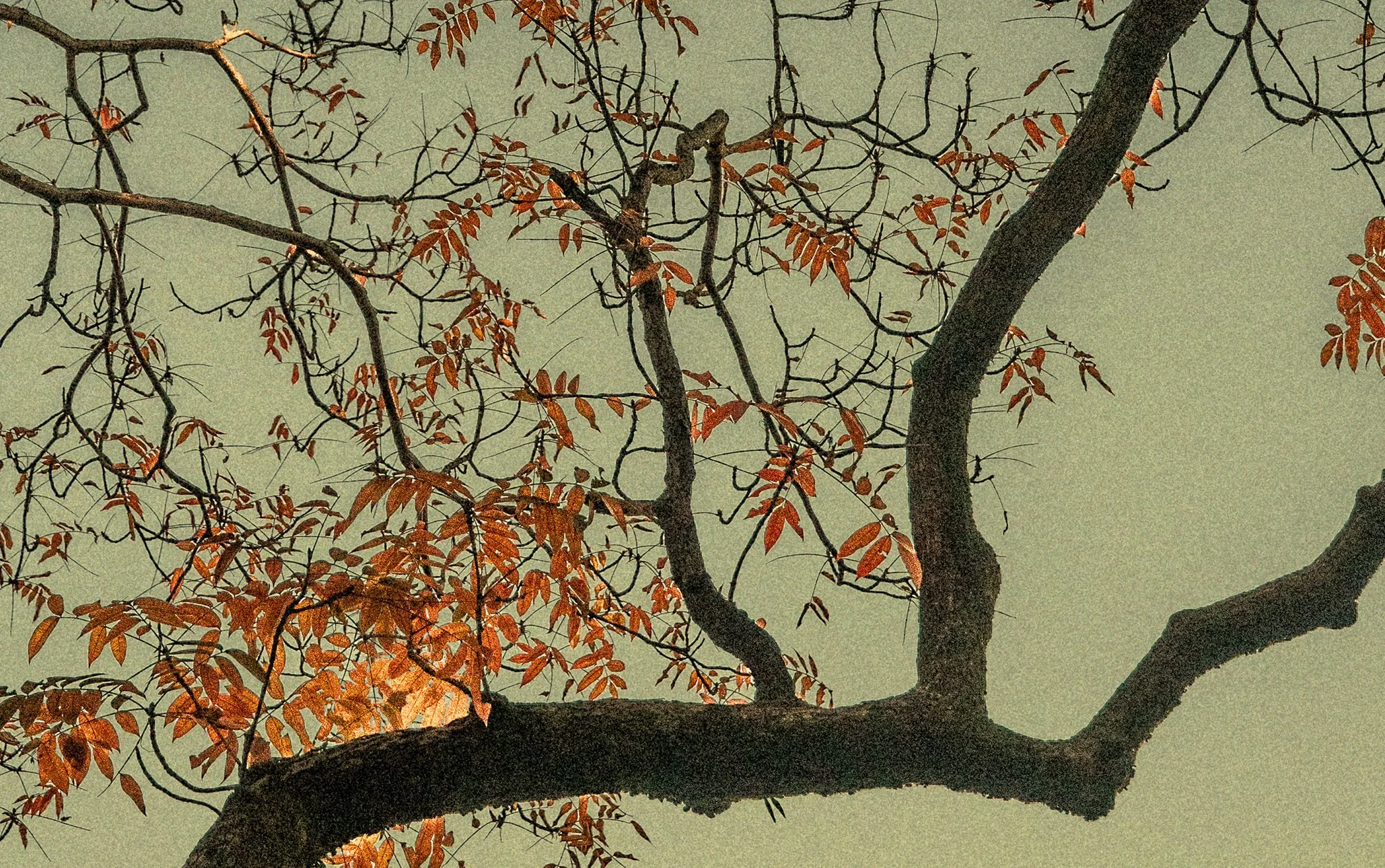 The Atrtist´s Choice Limited Edition represents a selection of photographs that I curated personally, sharing pieces that are closest to my heart. Fine Art Phgotography by Eva Chupikova. Each photograph is available in a limited edition of 10 prints.