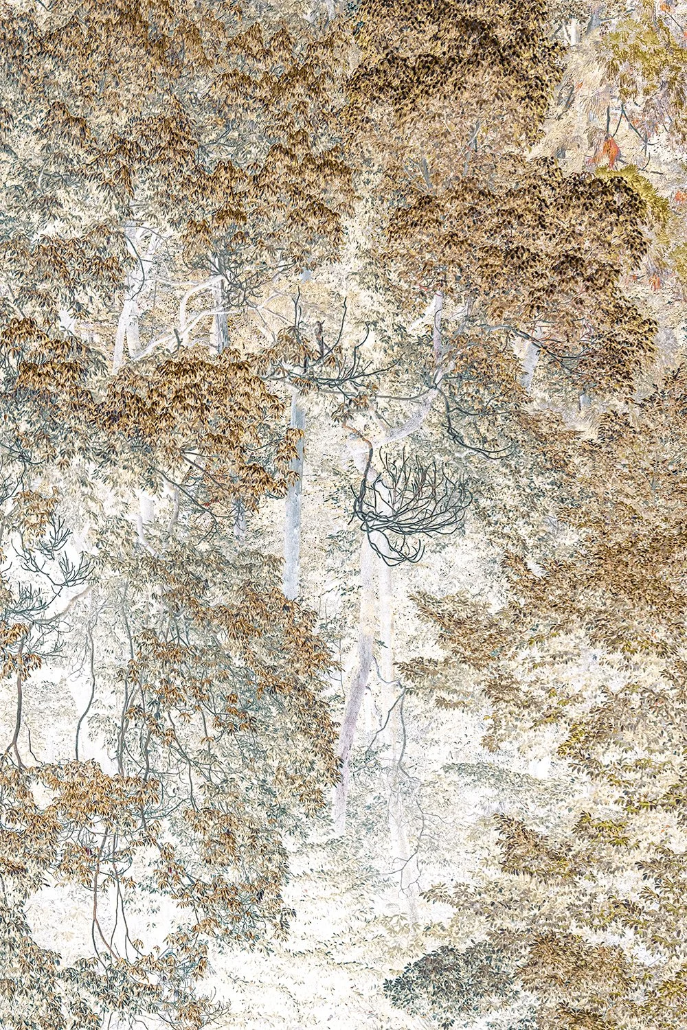 Eva Chupikova, fine art photography, fine art prints, limited edition, Japanese gardens, Japanese aesthethics, Kyoto, Japanese photography, award winning photographer, international photo award competition