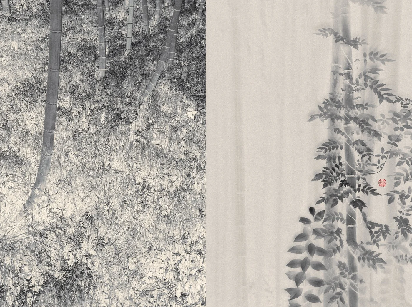 Eva Chupikova, fine art photography, fine art prints, limited edition, Japanese gardens, Japanese aesthethics, Kyoto, Japanese photography, award winning photographer, international photo award competition