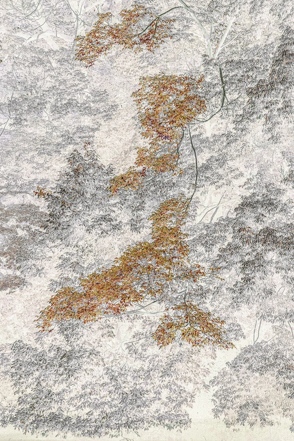 Eva Chupikova, fine art photography, fine art prints, limited edition, Japanese gardens, Japanese aesthethics, Kyoto, Japanese photography, award winning photographer, international photo award competition