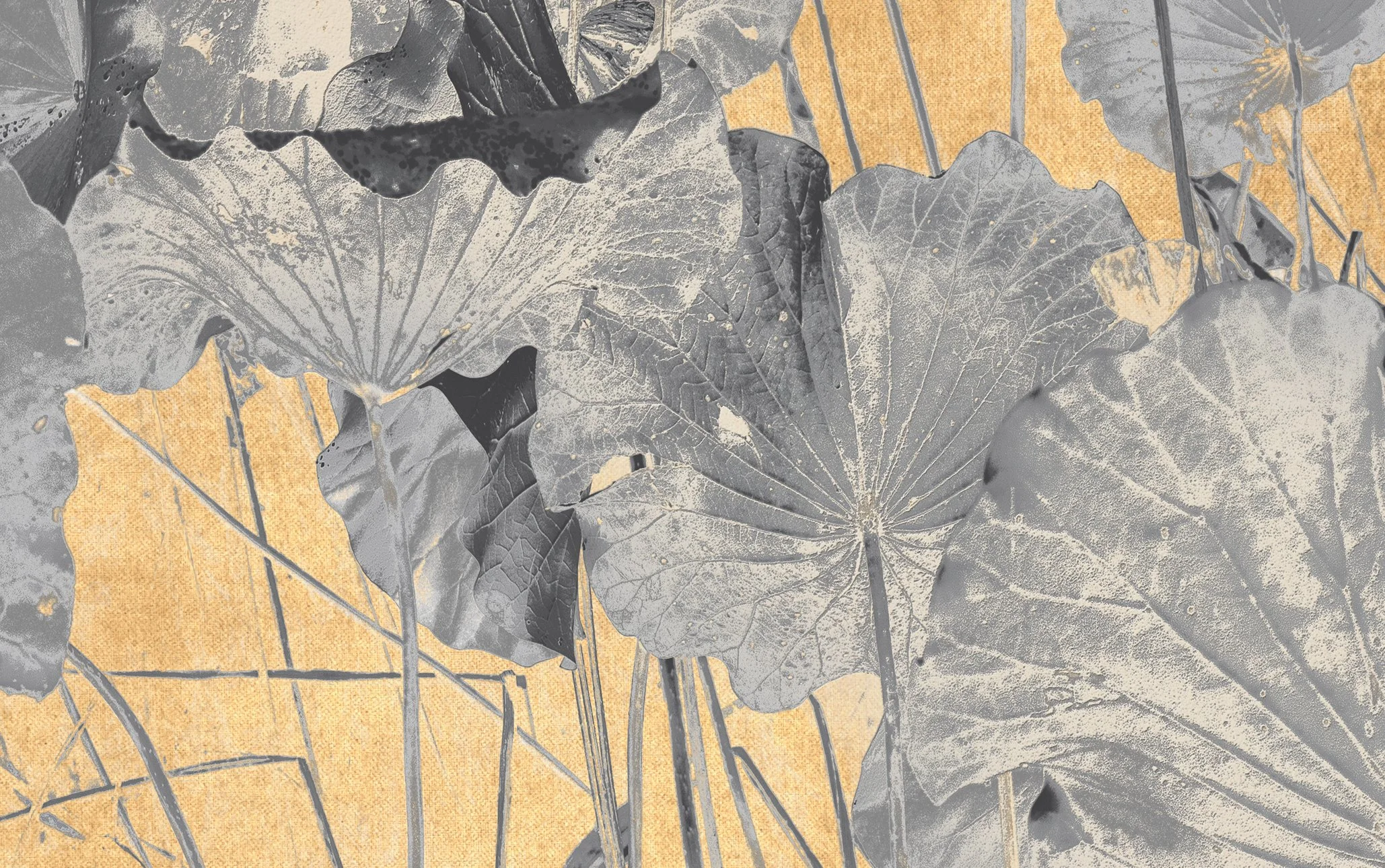 The Atrtist´s Choice Limited Edition represents a selection of photographs that I curated personally, sharing pieces that are closest to my heart. Fine Art Phgotography by Eva Chupikova. Each photograph is available in a limited edition of 10 prints.