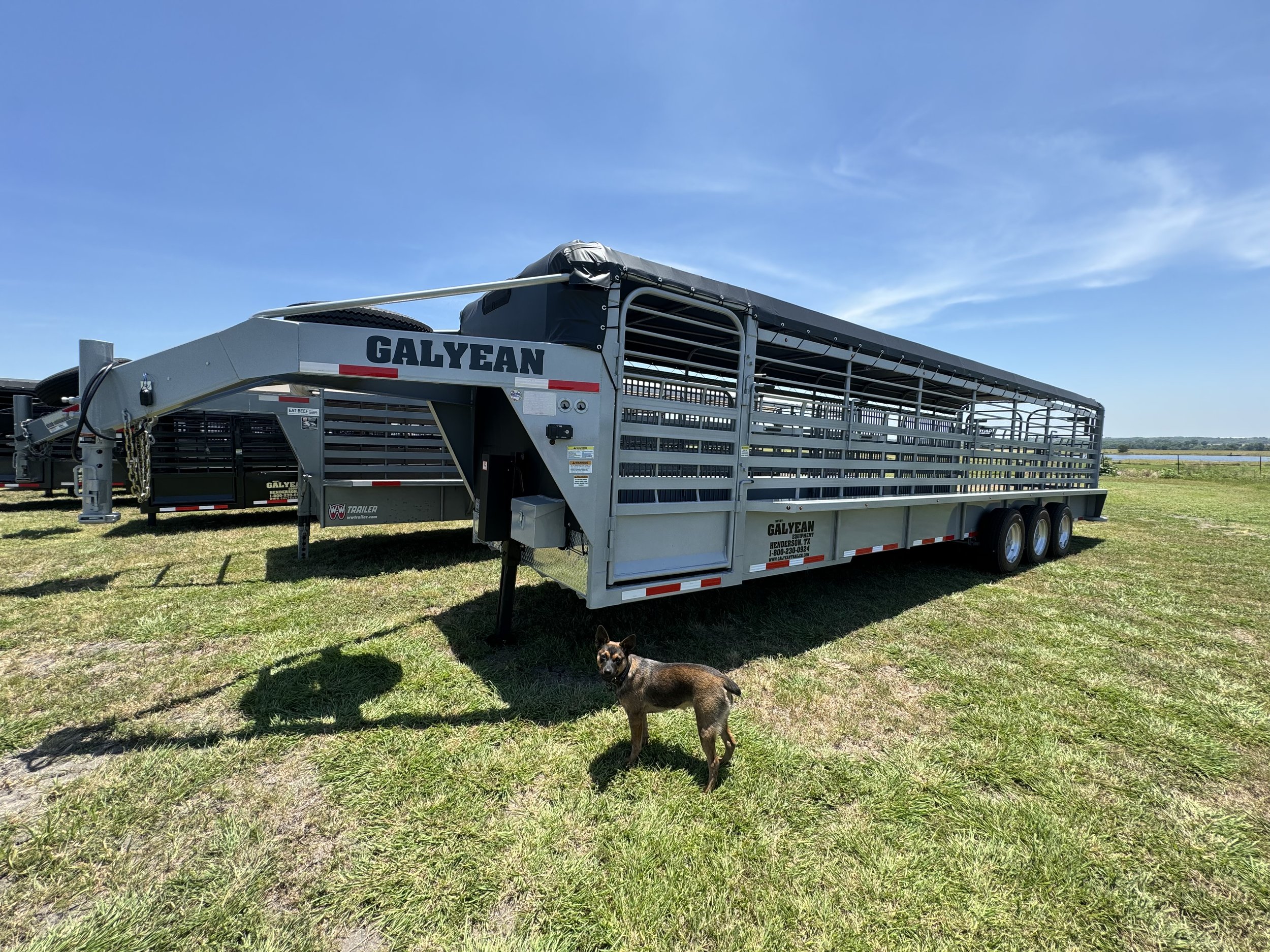 2024 Galyean 32x6-8 Livestock Trailer