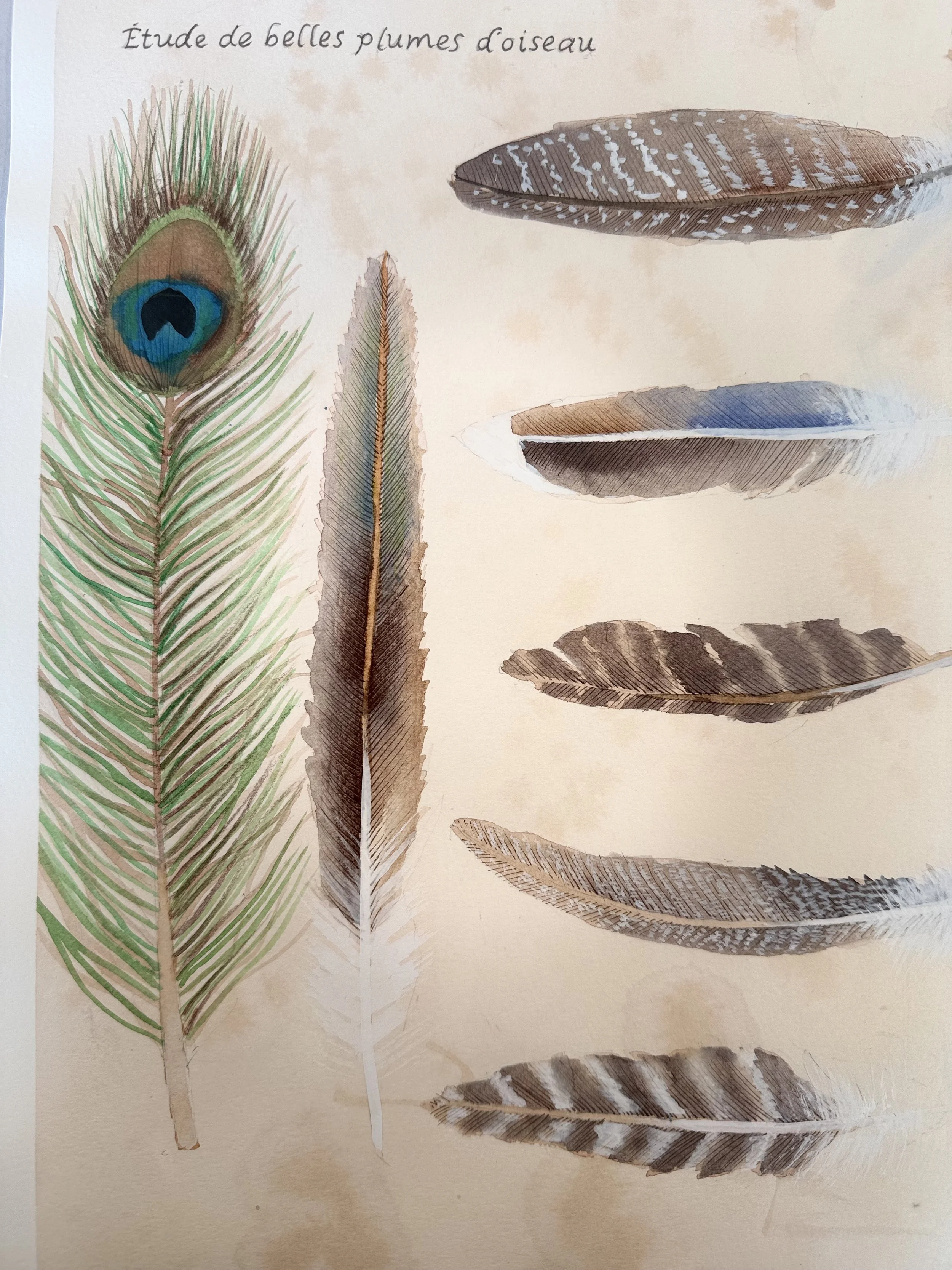 Victorian Feather Study Painting Day at The Cornerstone, Wokingham