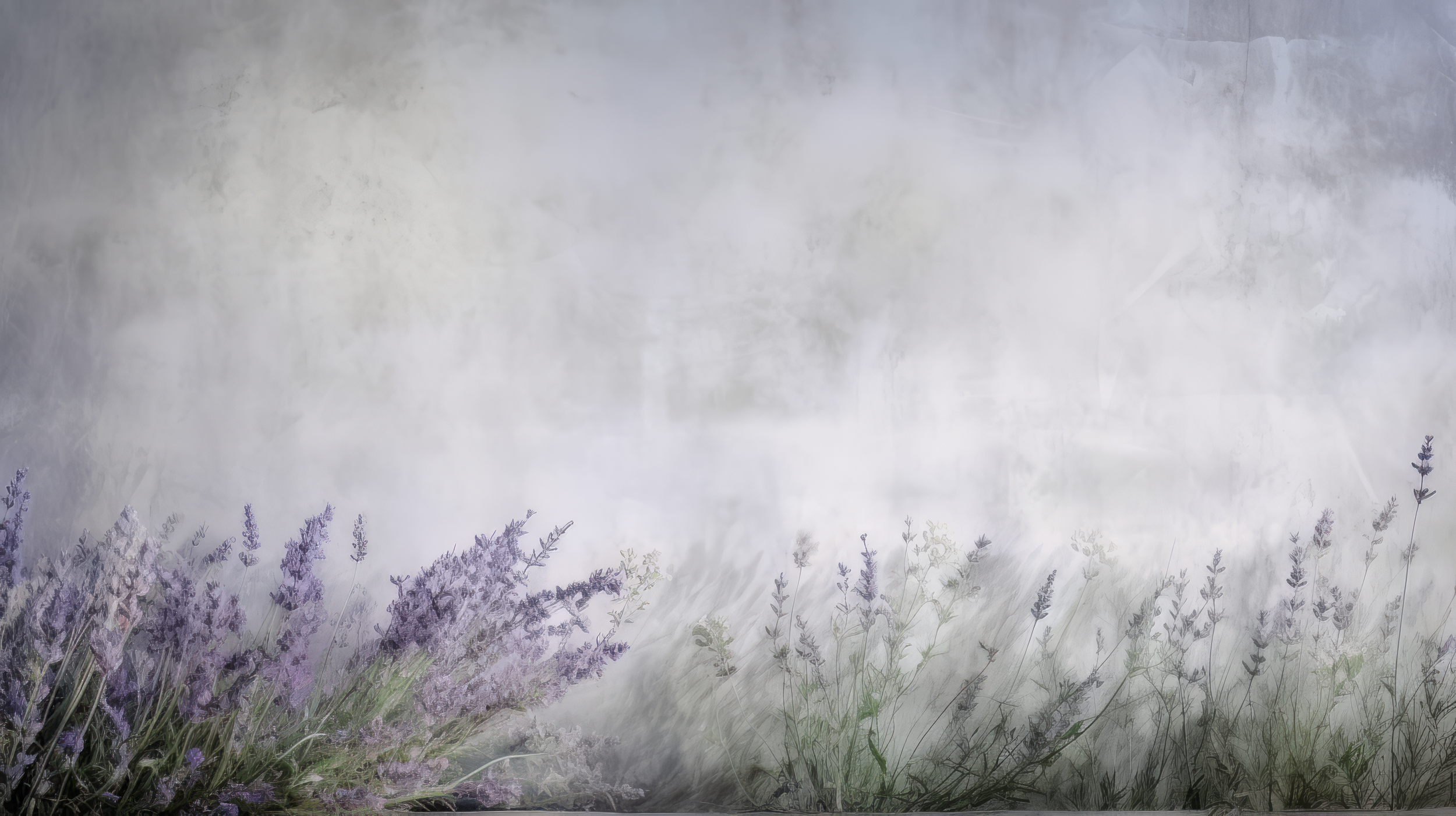 anabrandt_lots_of_white_and_light_lavendar_fine_art_texture_wit_0e02e11e-b4e1-48f4-b91f-0aacf06023be-topaz.png