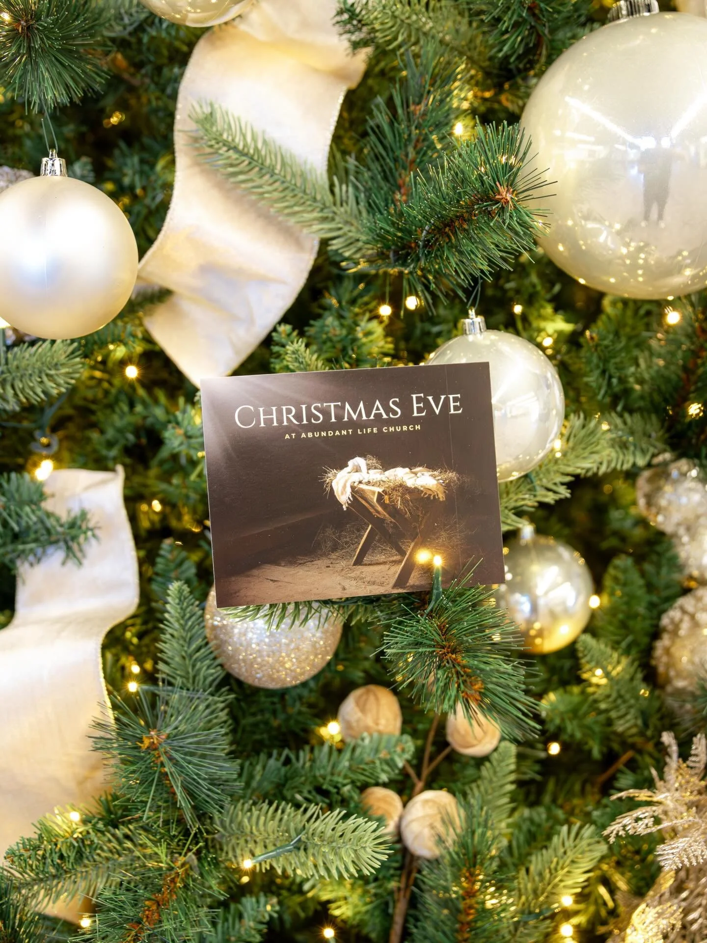 Who&rsquo;s coming #christmaseve? Bring your family and friends as we celebrate the birth of Jesus!

Christmas Eve @ 3 + 5 PM
6461 Proctor Road, Sarasota