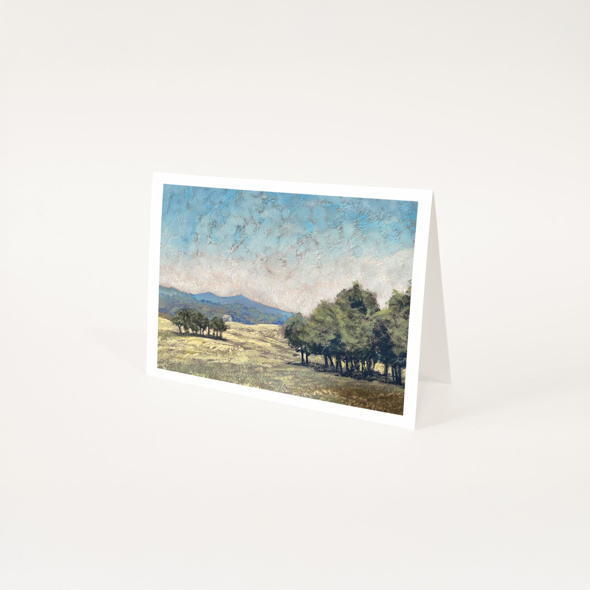 Vallecitos 5x7 Greeting Card