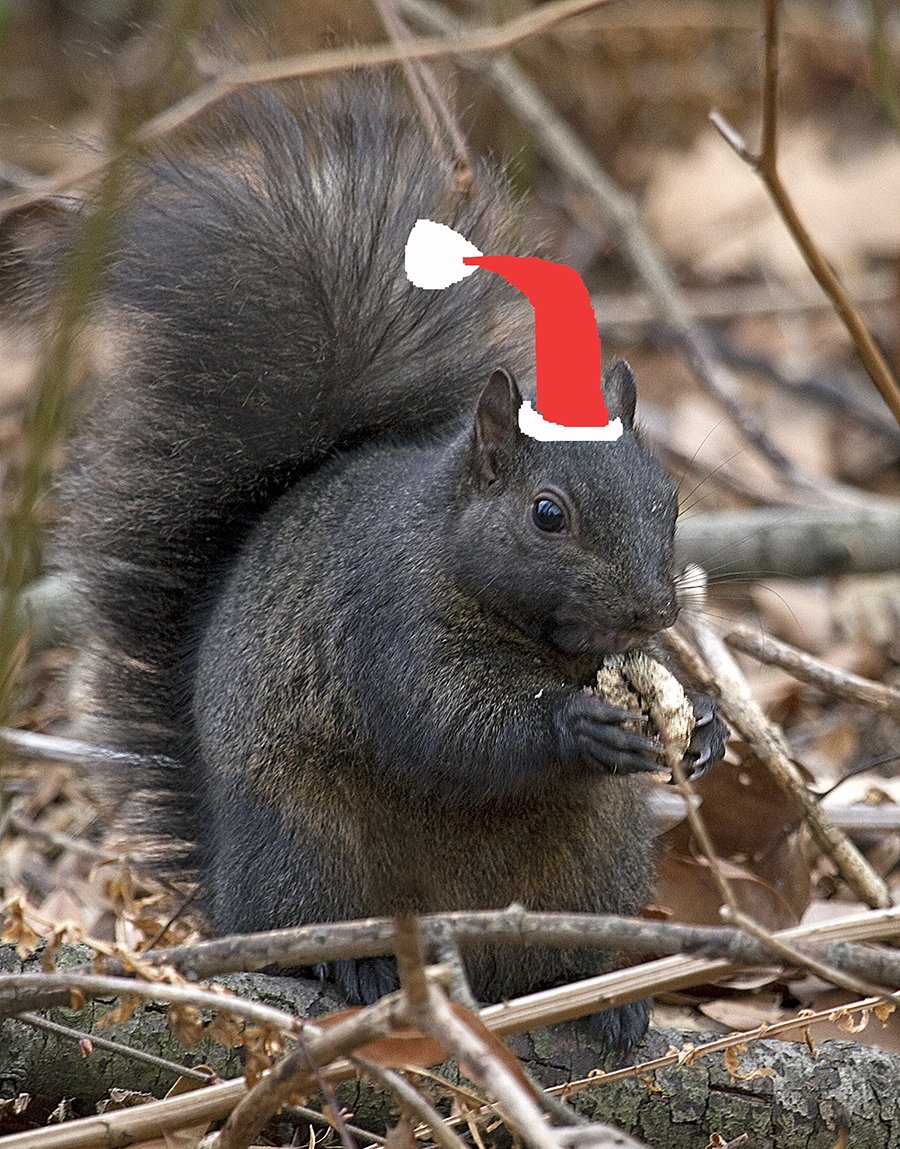 Episode 75 - A Year in Review