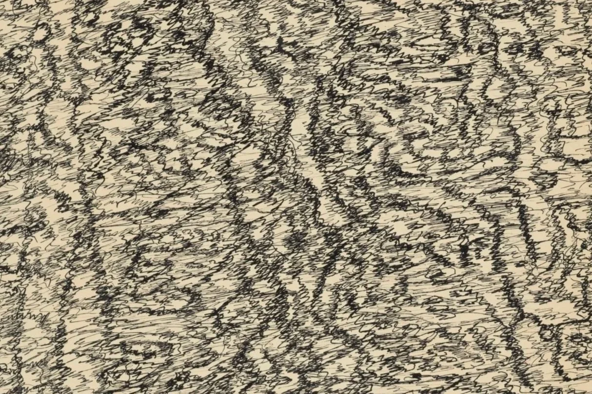 Henri Michaux (1899-1984), Untitled (Mescaline drawing)