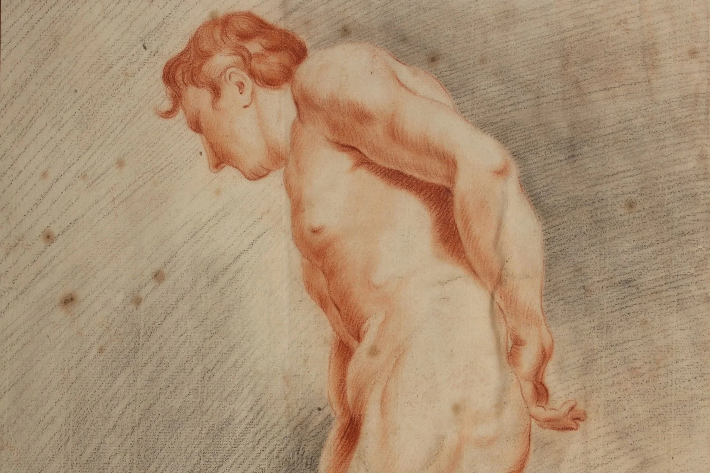 Sarah Stone (British, 1762-1844), Standing male nude