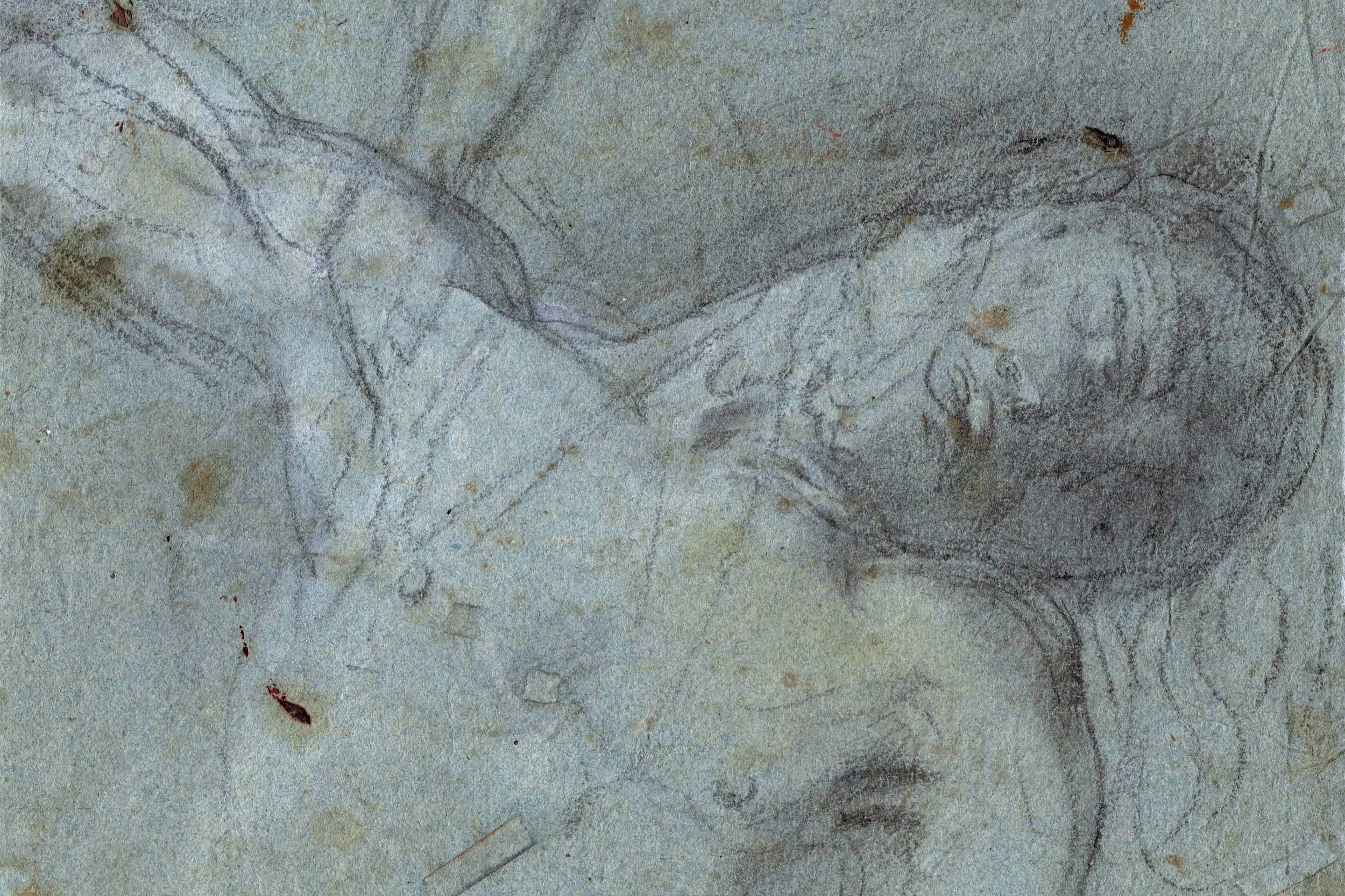 Federico Barocci (c. 1533-1612), Virile torso with a reclining head (a study for the Perugia’s Deposition)</span>