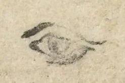 How To: Understand A Collector’s Mark