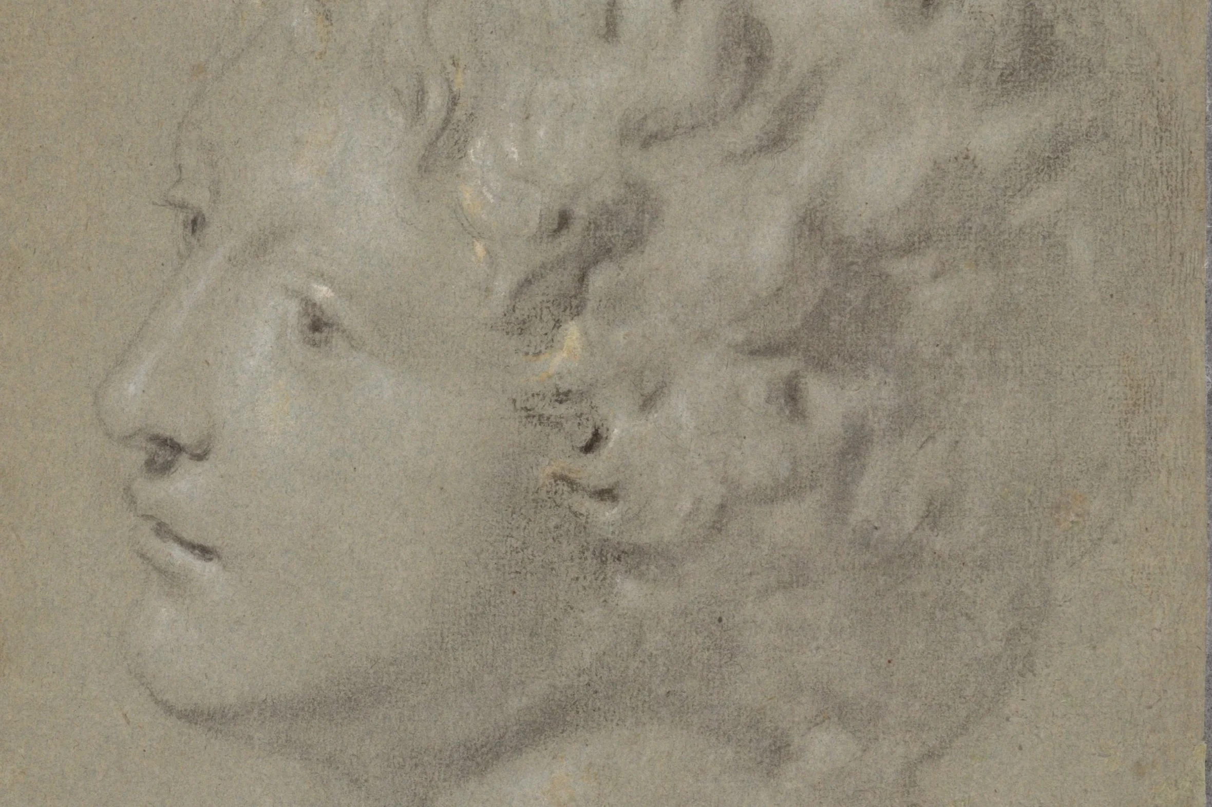 Michaelina Wautier (c. 1614–1689), Study of the Medici Ganymede Bust, c. 1640/50