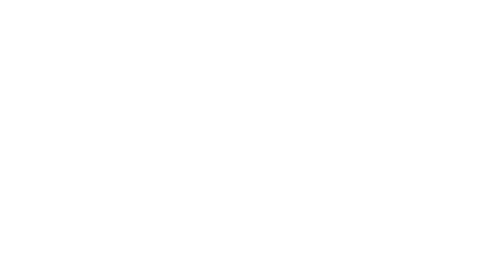 penguin.png