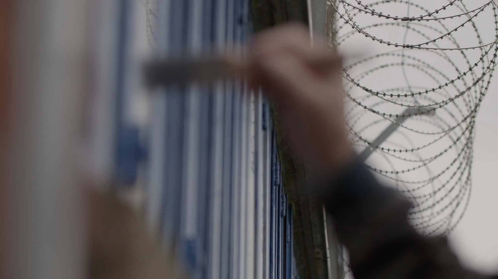 Screenshot 2025-07-09 at 12.11.40.jpg