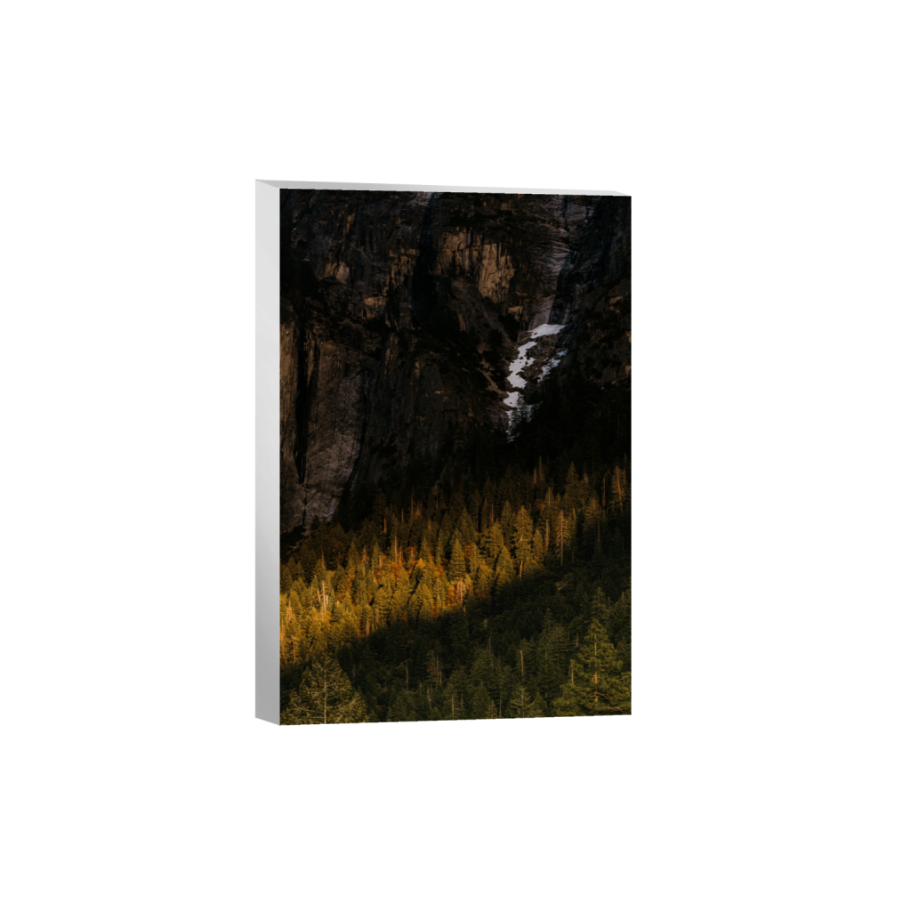 ptq_7_3_13_0_5504_8256_0_false_ffffff_0_0_.png