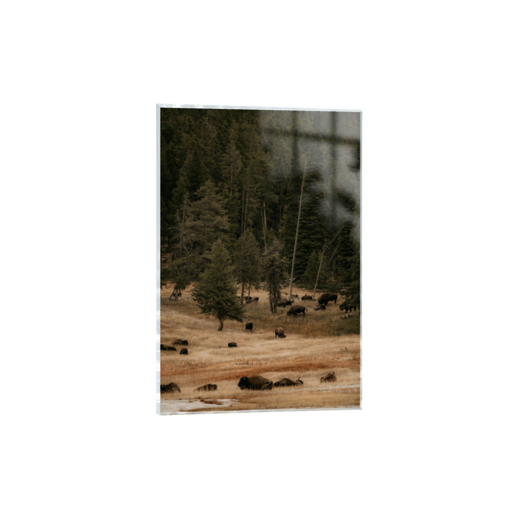 ptq_17_3_13_0_5504_8256_0_false_ffffff_0_0_.png