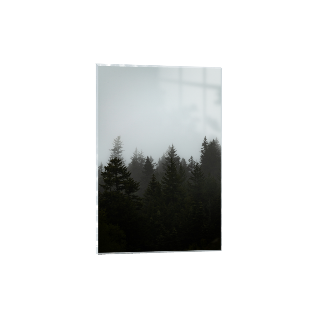 ptq_17_3_0_0_5504_8256_0_false_ffffff_0_0_.png