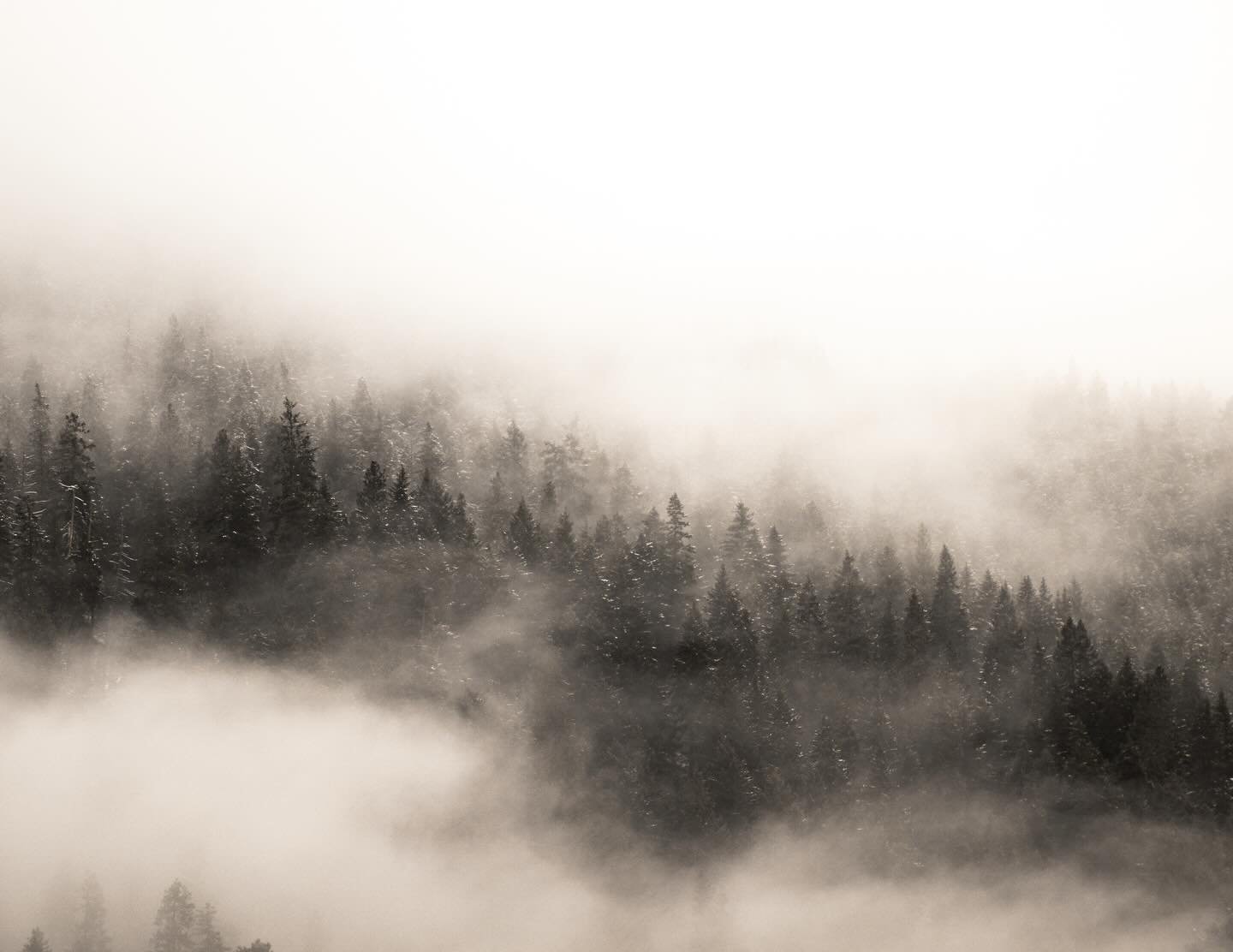 somewhere in the evergreen state 🌲❄️