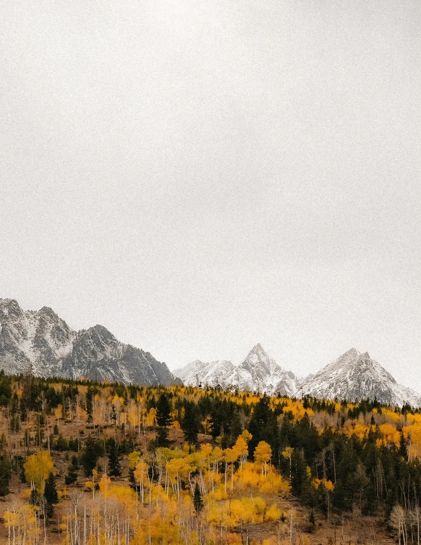 Just outside Frisco, CO &bull; 2018

Currently snowed in from a blizzard, pretending this is our view for the foreseeable future ❄️