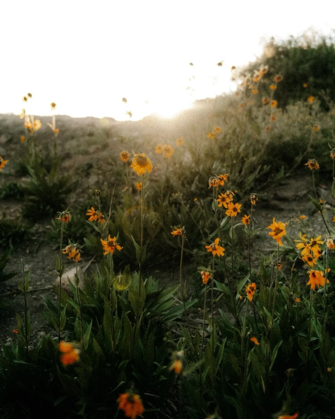 War leaves scars that last generations. No matter the flag, language, or belief, human suffering is the same. I hope compassion can matter more than ambition &amp; ego, and that peace is not a privilege for a few but something every country living th