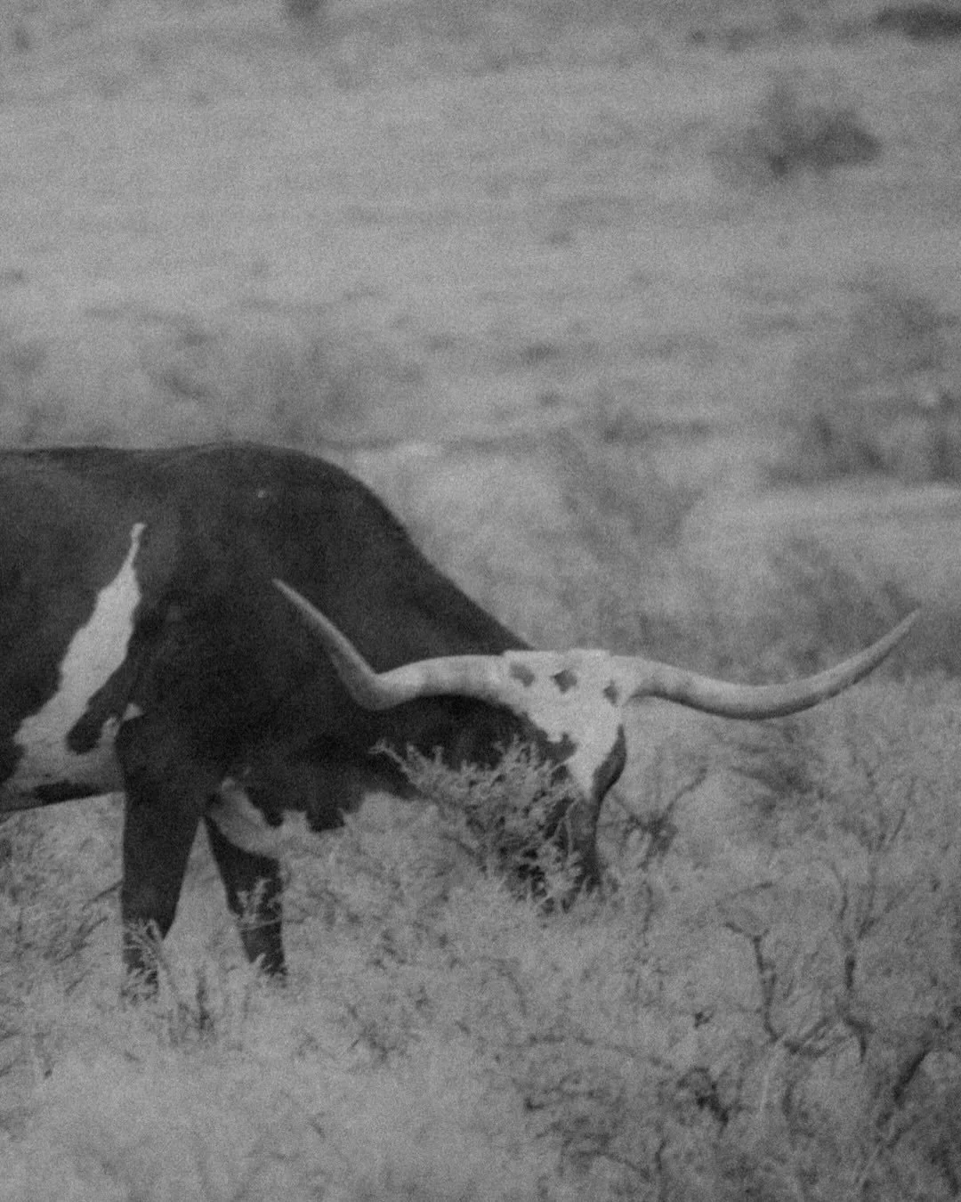 scene from a road trip out west