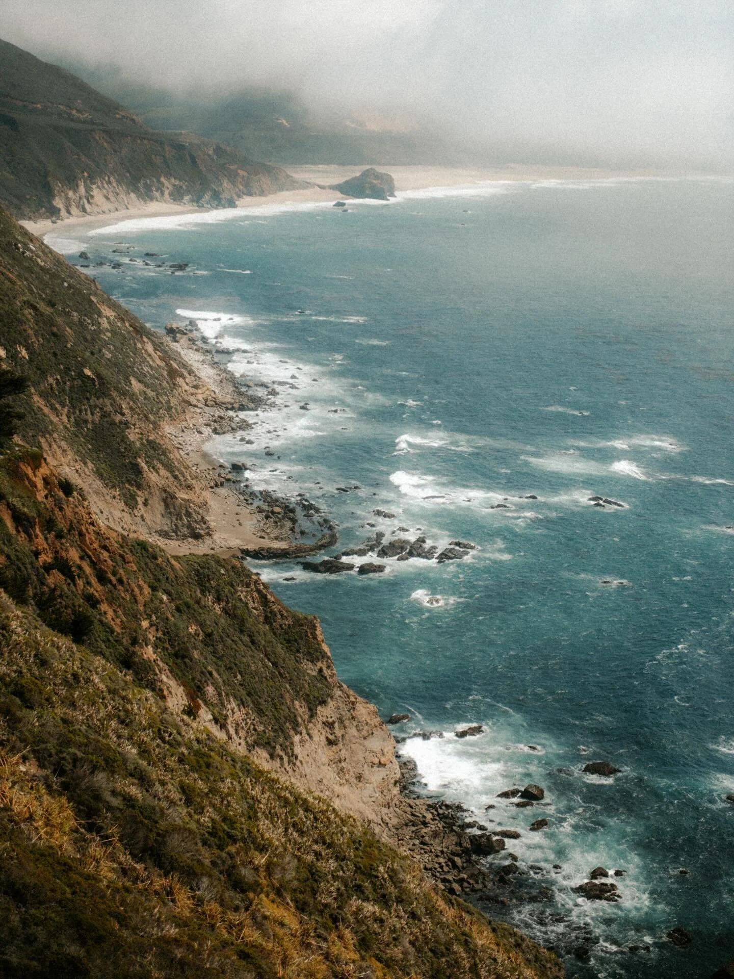 Where my mind goes every time Rhode Island drops a fake spring 🌊🌿🪻