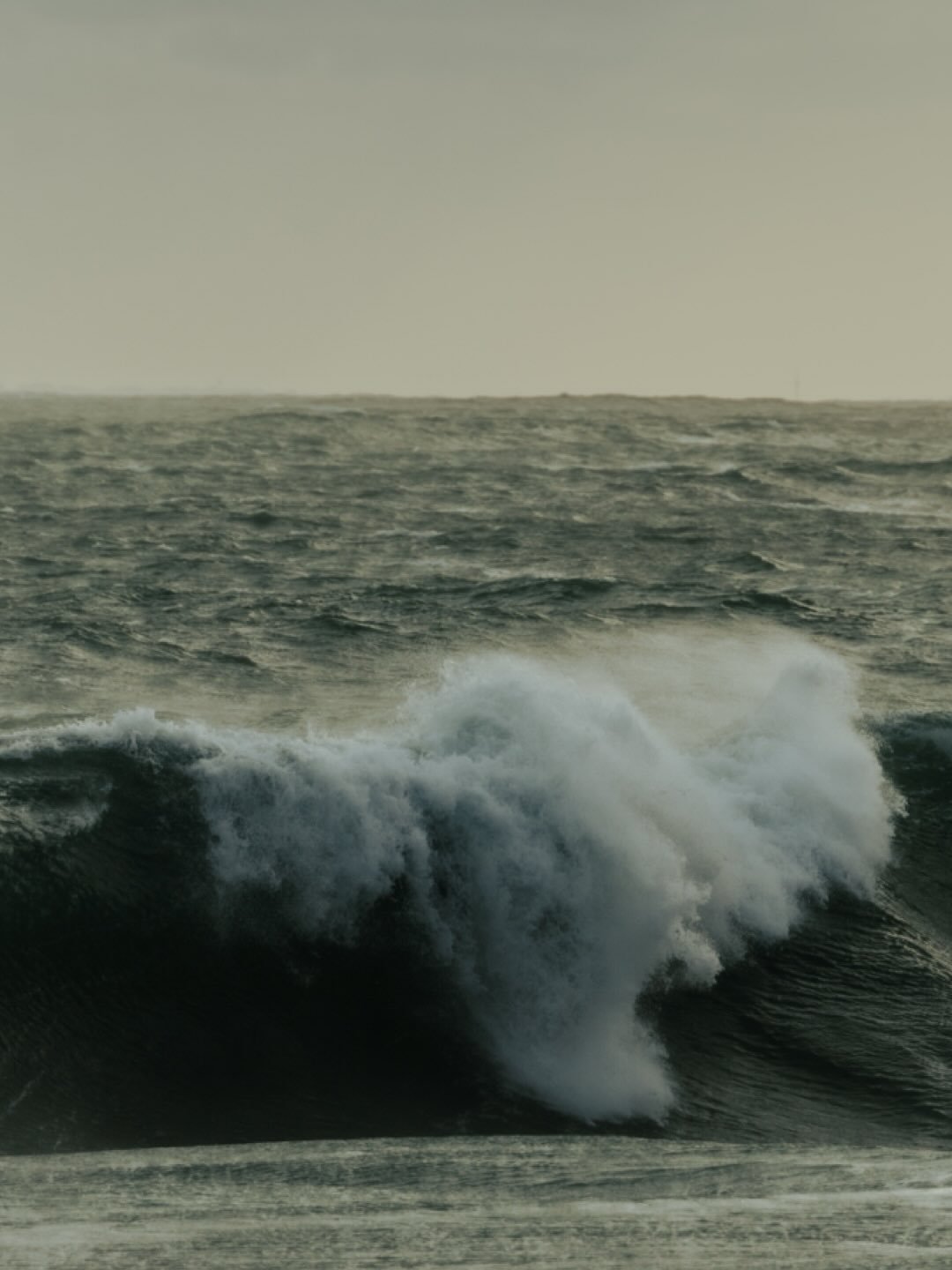 ⋆.˚ ☼⋆𓇼｡𖦹˙༄.&deg;