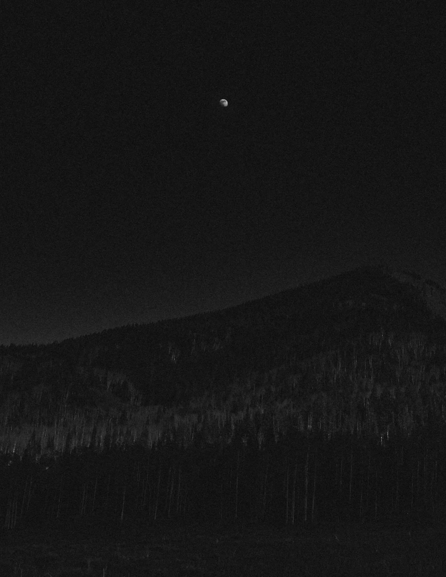 everybody&rsquo;s moon