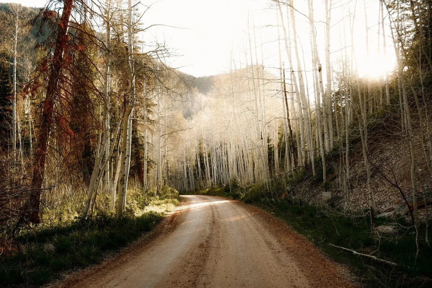 Spring in the Uintas