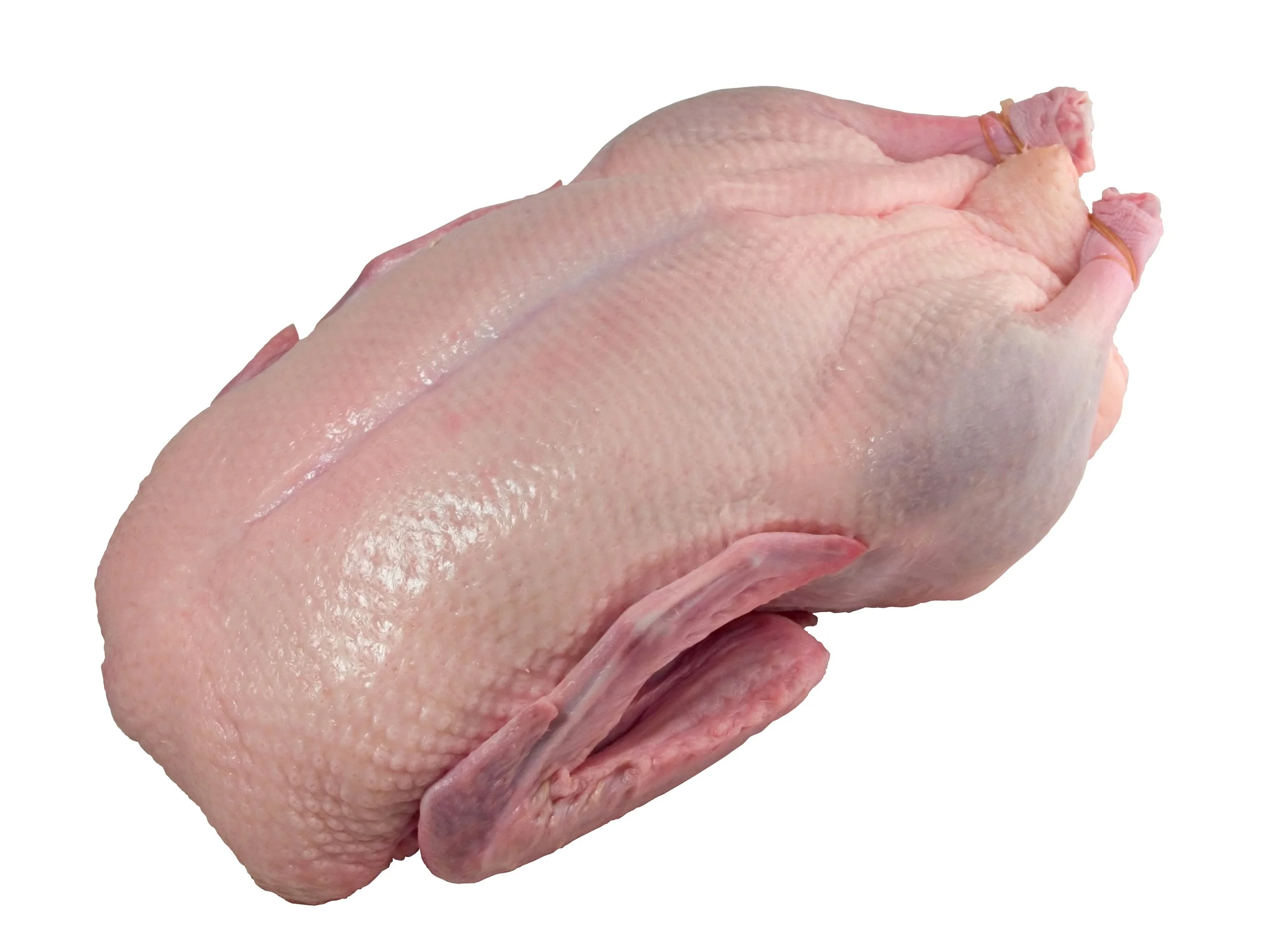 iStock-115816913.jpg