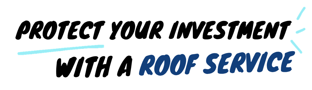 RV Roof Wash service