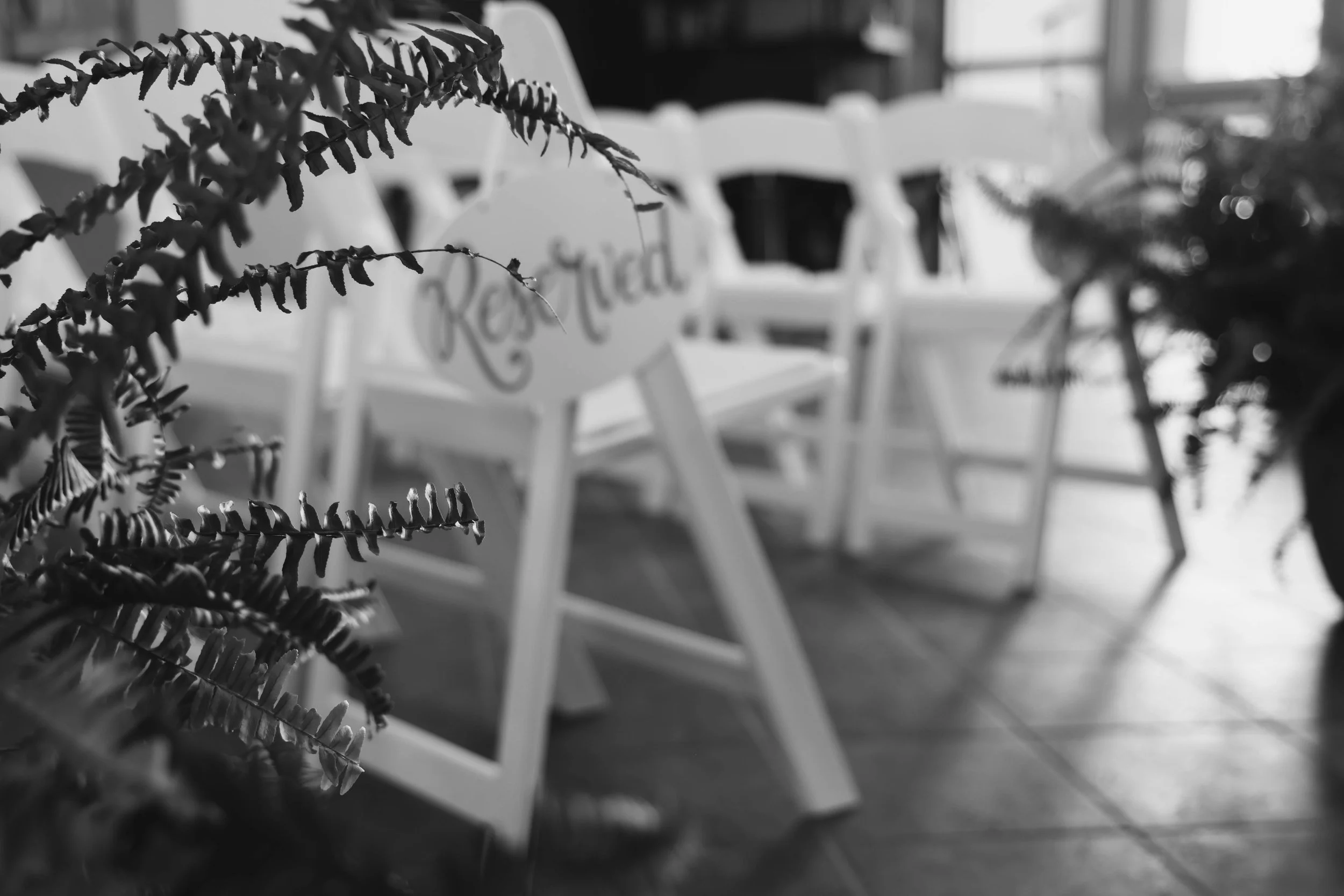Black and white photo of white chairs with a sign that says "Reserved" in the background, with plants in the foreground.