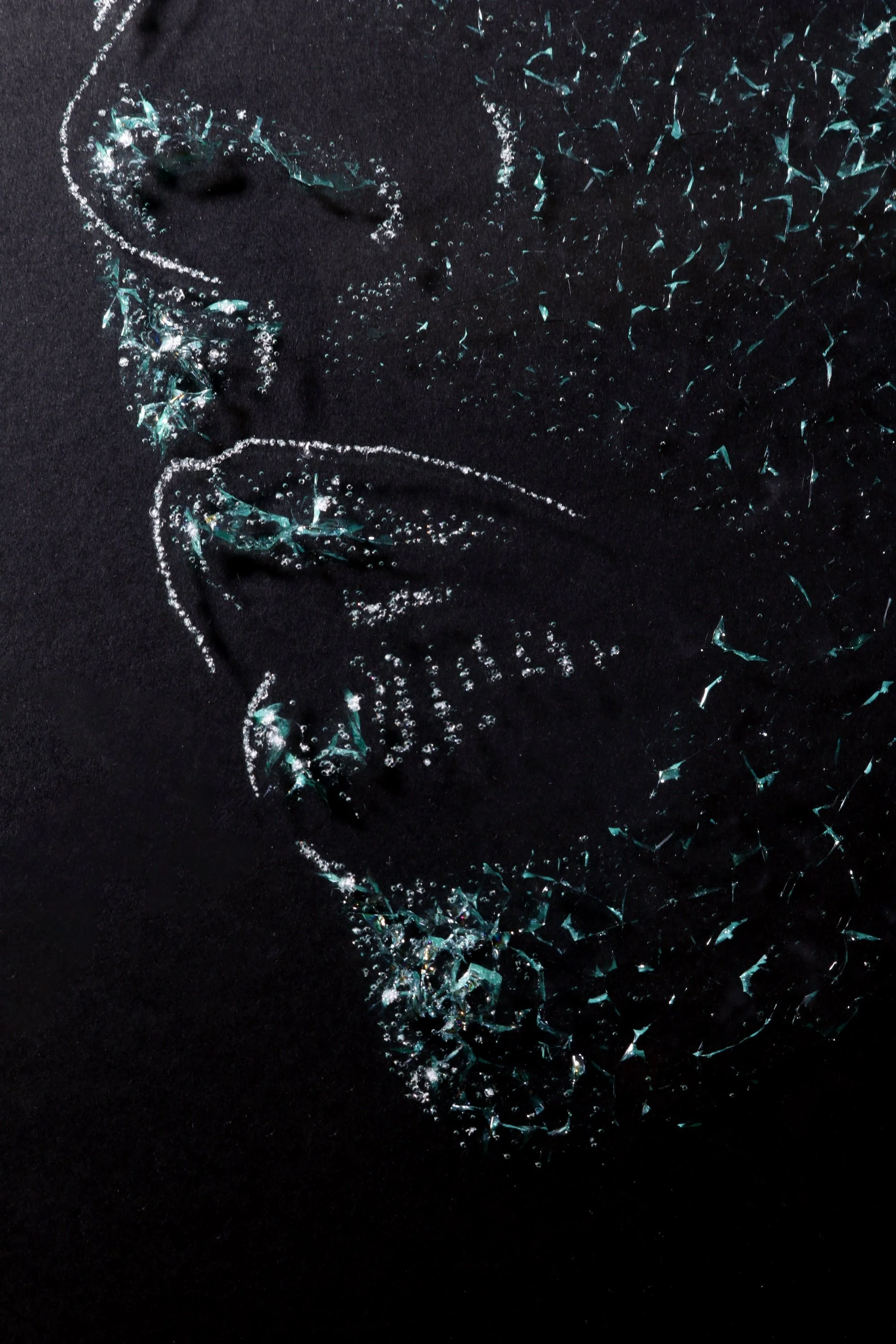 Majestic_Agnes Buronyi Art_Glass Art_Details