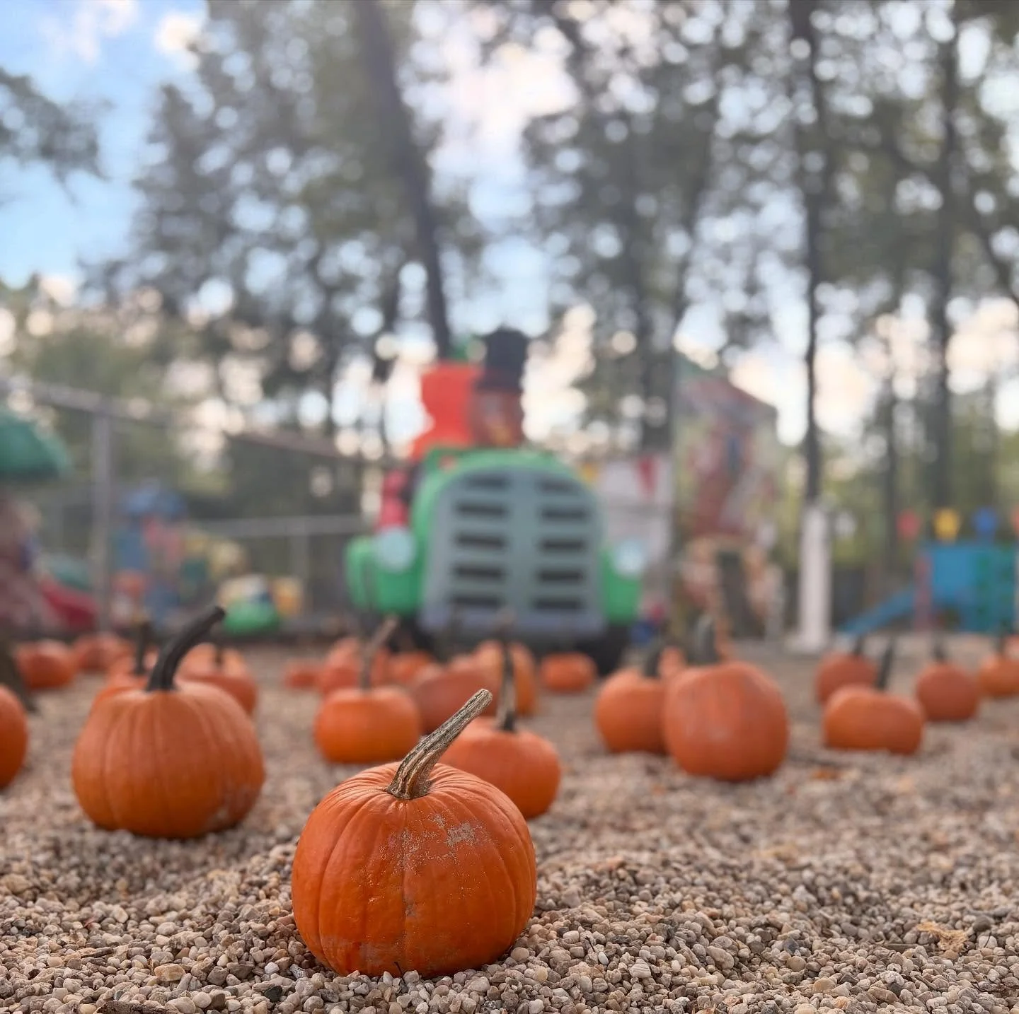 Pumpkin patch season is here and we couldn&rsquo;t be more excited!!🎃🍁