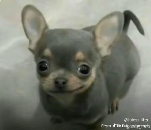 When the long weekend just isn&rsquo;t long enough&hellip;