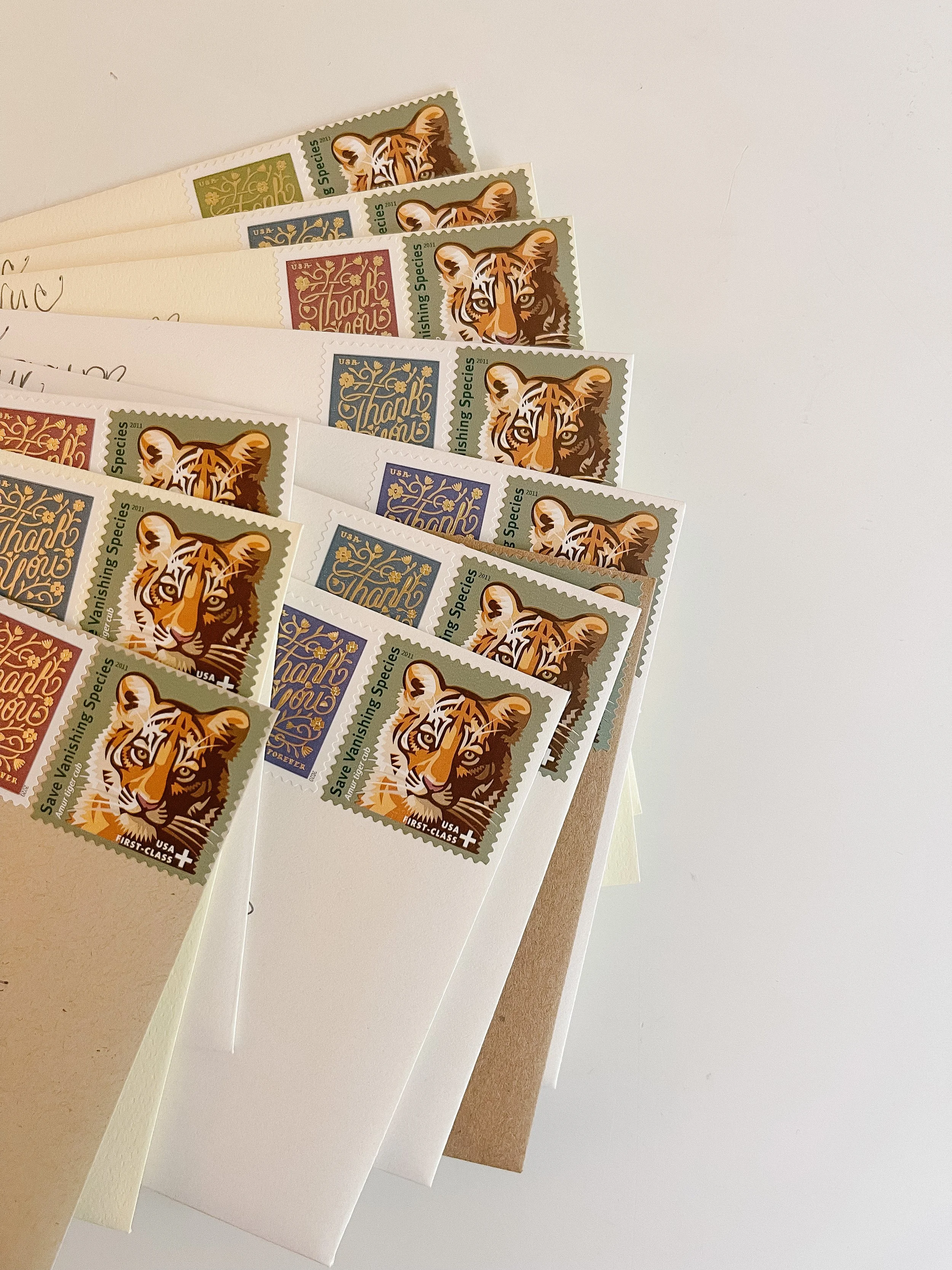 Collecting The Little Things