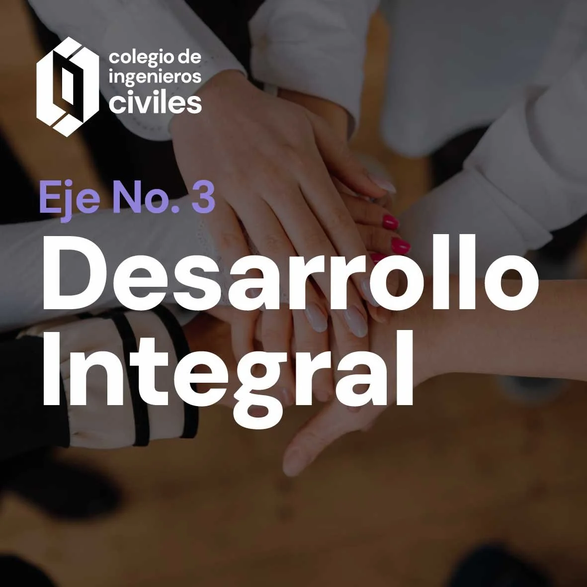 Eje 3: Desarrollo Integral