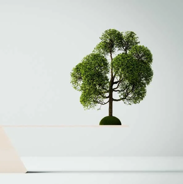 Compras Sostenibles: del impacto ambiental al valor integral en las organizaciones