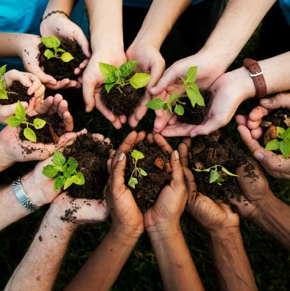 Sostenibilidad y Responsabilidad Social: Herramientas para generar valor en los proyectos de construcción