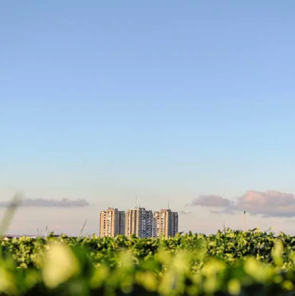 CIVILES 85: Diálogos para el FuturoSostenibilidad, cambio climático e infraestructura: los retos que definirán el futuro del país.