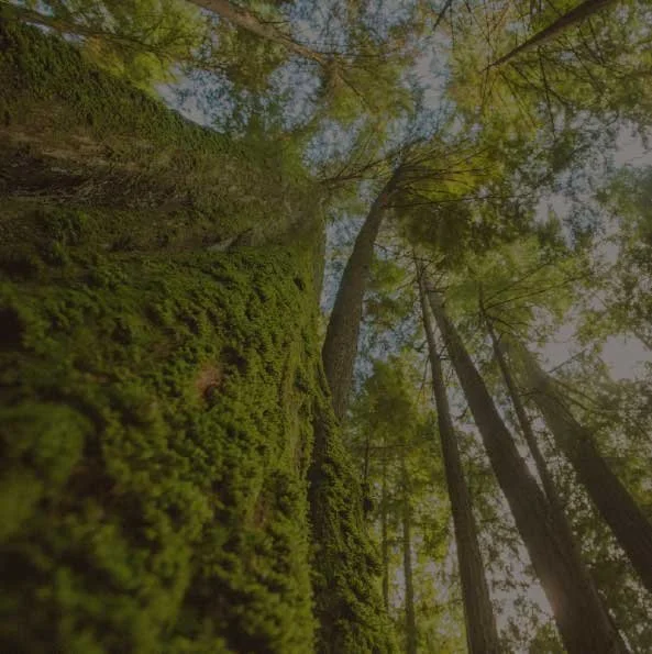 Séptima Edición del Simposio de Sostenibilidad y Ambiente 2026