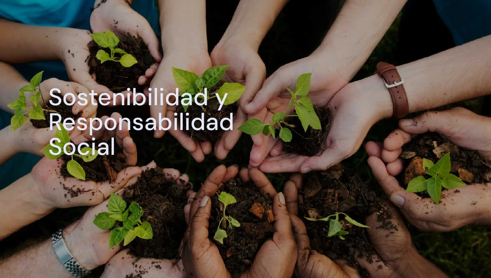 Sostenibilidad y Responsabilidad Social