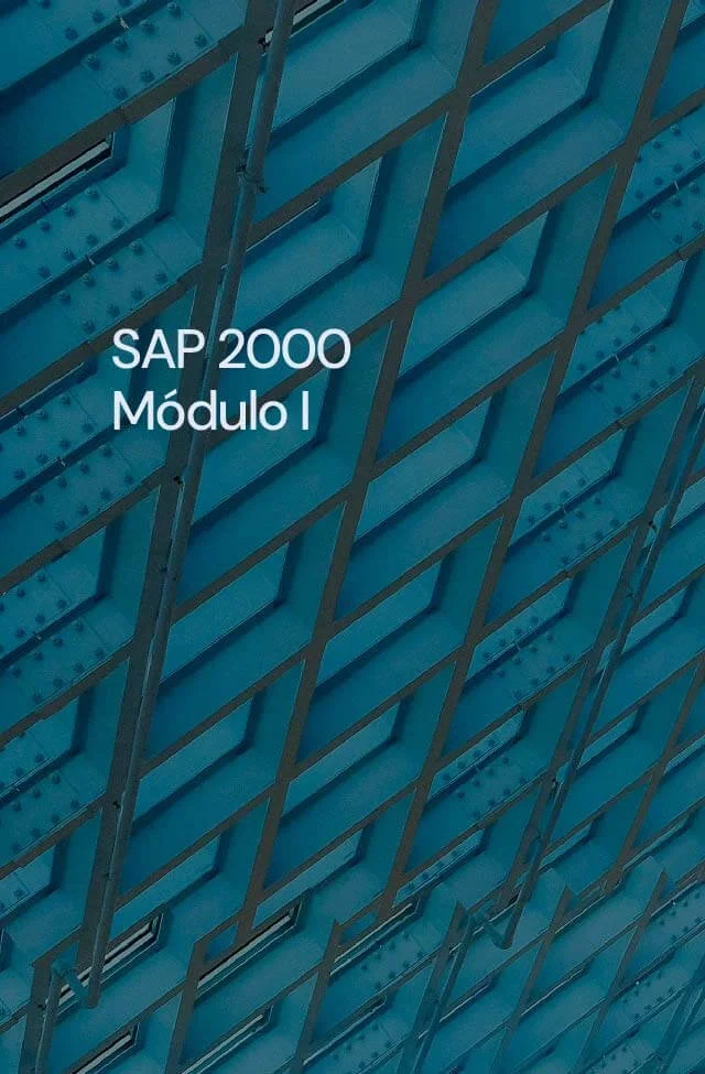 Sap Módulo I