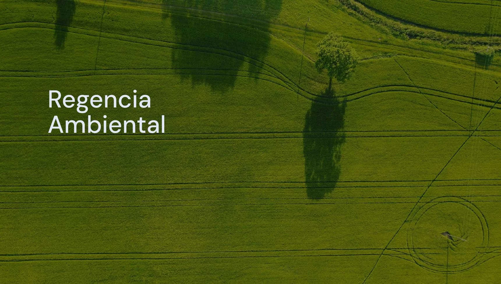 Regencia Ambiental 