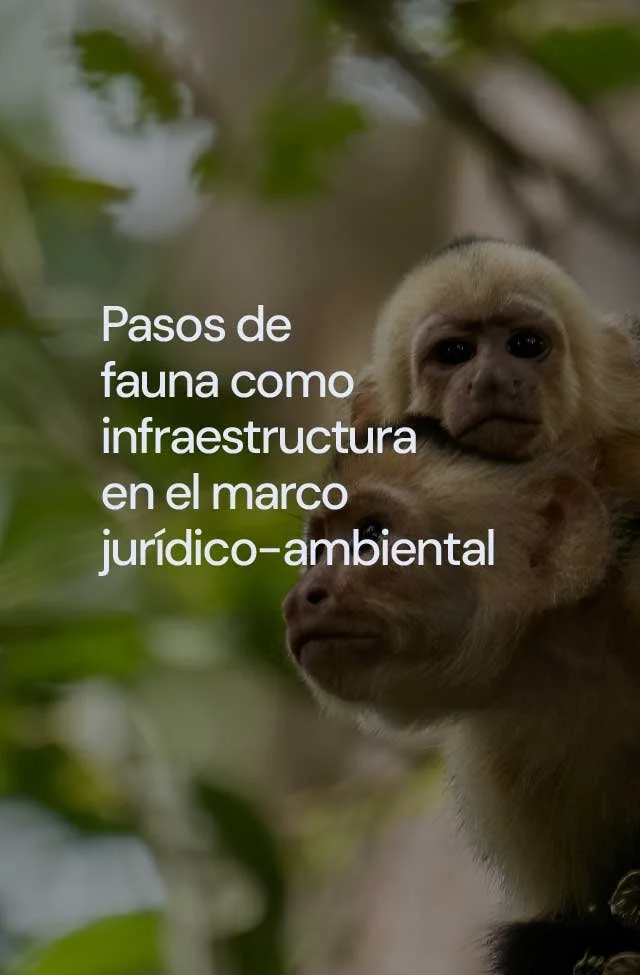 Pasos de fauna como infraestructura en el marco jurídico-ambiental.