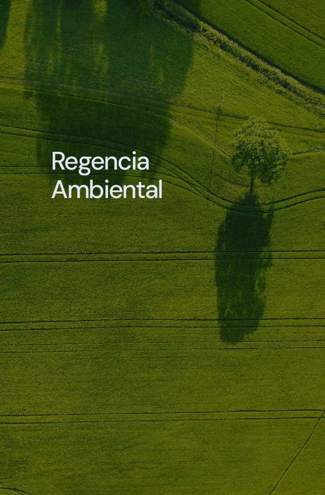 Regencia Ambiental 