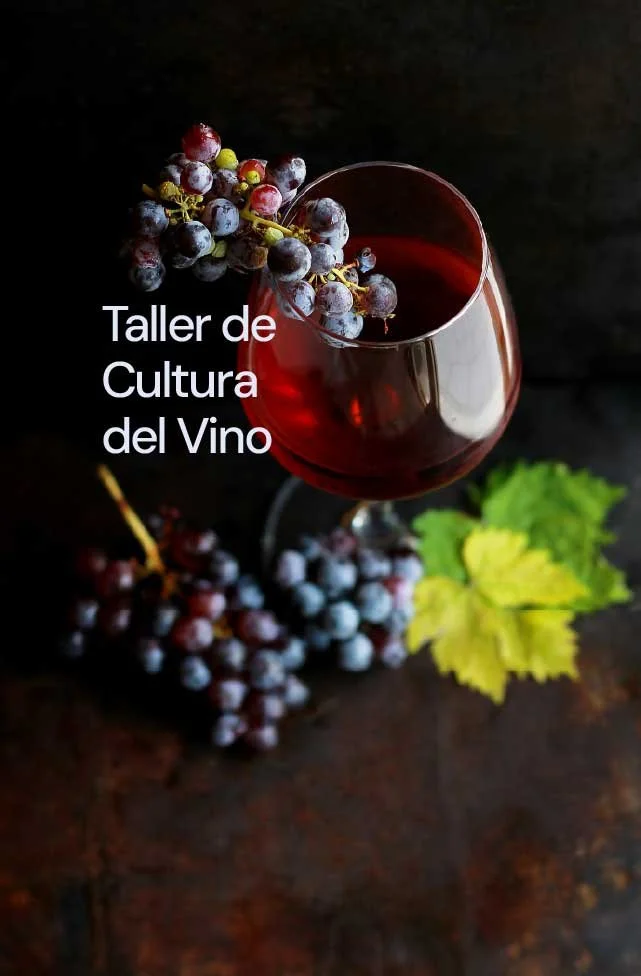 Taller de Vino