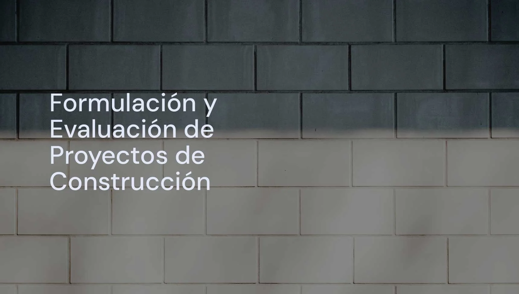 Formulación y Evaluación Proyectos